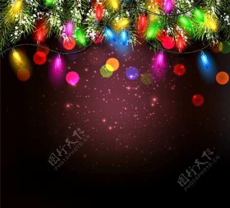 圣诞节彩灯和松枝图片