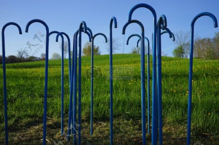 草地上的蓝色拐杖