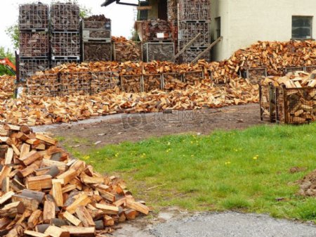 堆积的大量木材