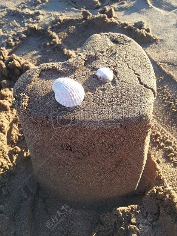 沙雕上的贝壳