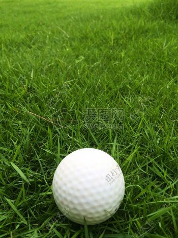 草地上的白色高尔夫球