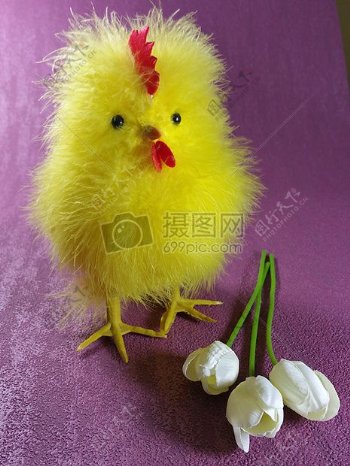 可爱的黄色小鸡