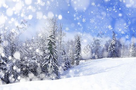 美丽冬天雪景背景