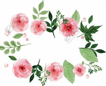 水彩绘玫瑰花植物插画