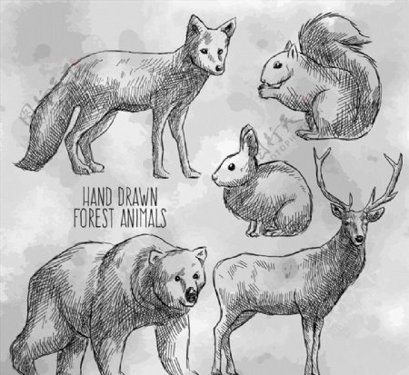 5款手绘森林动物矢量素材