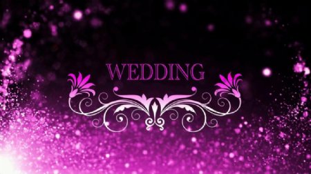 粉色婚礼背景动态视频素材