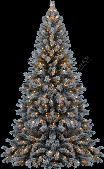圣诞灯装饰的圣诞树免抠png透明素材