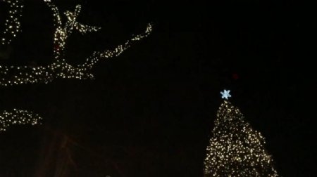 实拍圣诞节夜晚闪闪发光的圣诞树视频素材