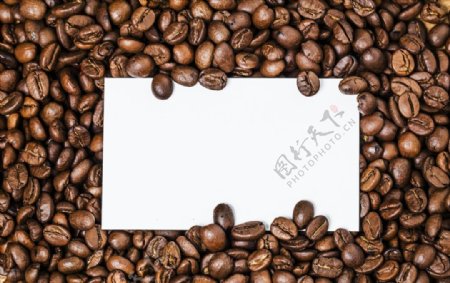 咖啡豆画板图片背景图2