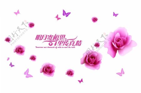 粉色玫瑰花中秋传情元素
