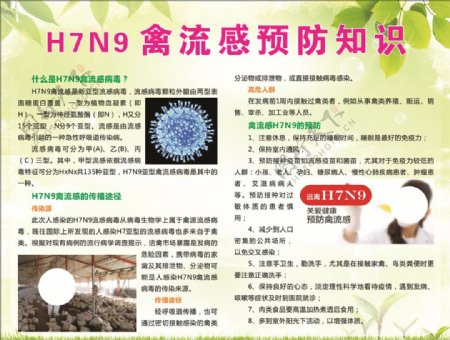 H7N9禽流感预防知识
