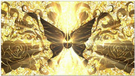 金色蝴蝶动态视频素材