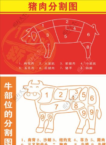 猪肉和牛肉分割图