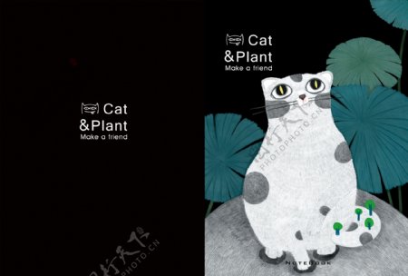 猫和植物封面