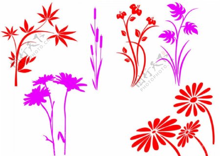 植物及花朵笔刷