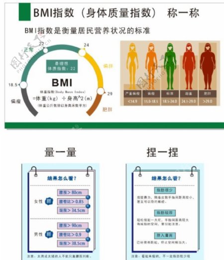 BMI指标对照表