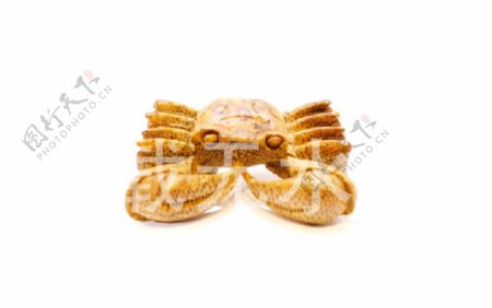 竹雕单螃蟹