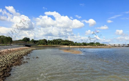 深圳湾休闲带西段