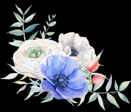 手绘灿烂绽开的鲜花透明装饰图案