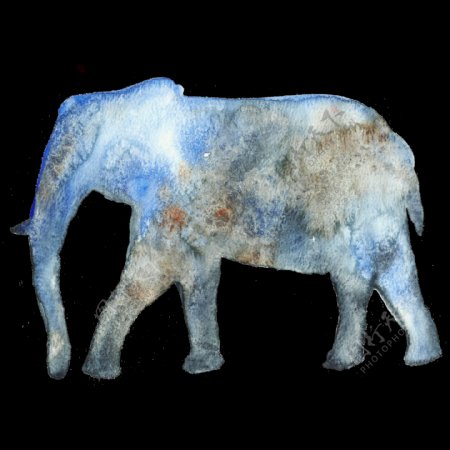 蓝色大象透明装饰图案528