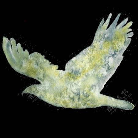 手绘绿色鸟透明装饰图案