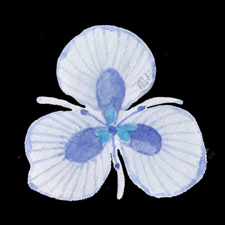 唯美花卉透明装饰图案