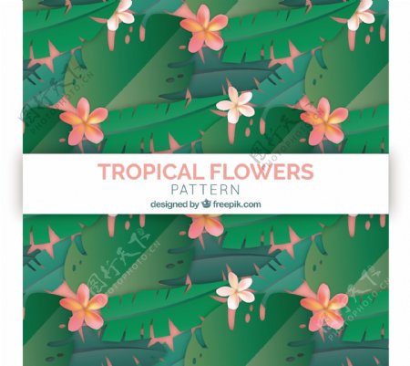 热带花卉图案背景