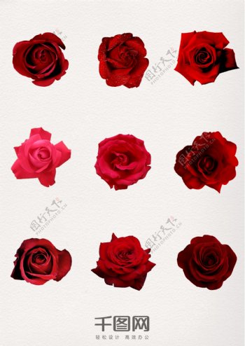情人节红色玫瑰花装饰