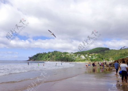 新西兰海滨风景