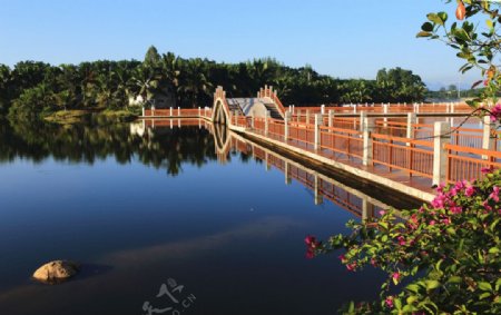 湖心拱桥
