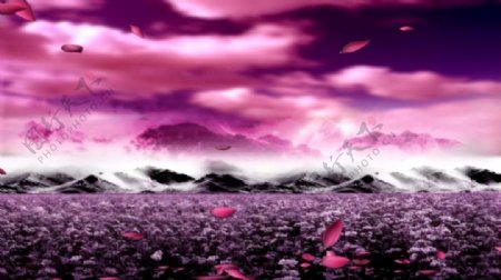 紫红梦幻神秘视频素材