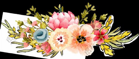 多类花卉卡通透明素材