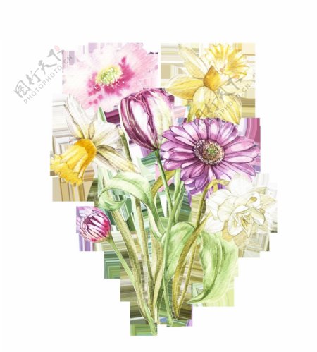 彩色手绘雏菊花透明素材