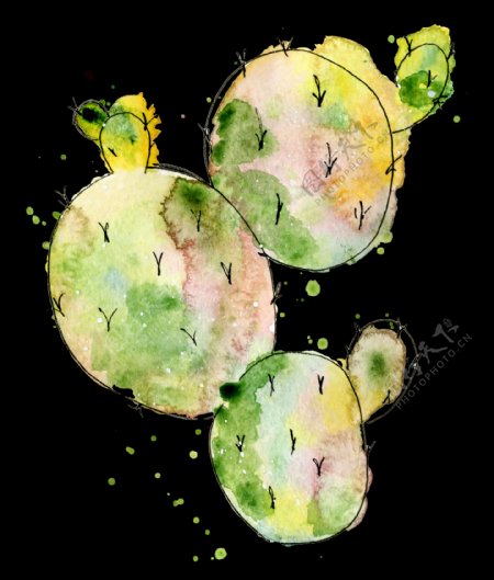 黄绿色仙人球水彩手绘透明素材
