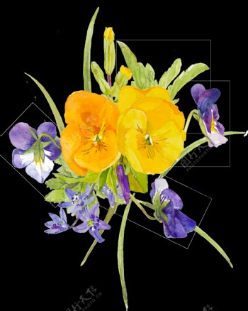 黄色水彩手绘花朵植物透明素材
