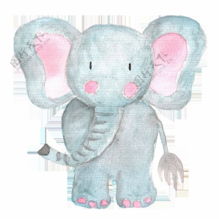 灰色手绘小象手绘卡通动物透明