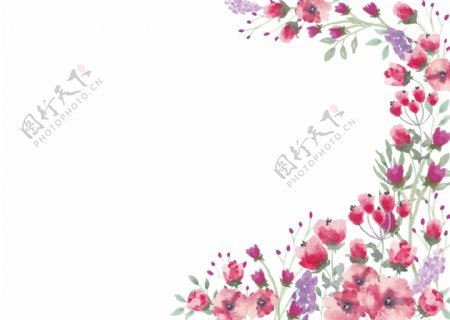 PNG水彩花卉花边边框4