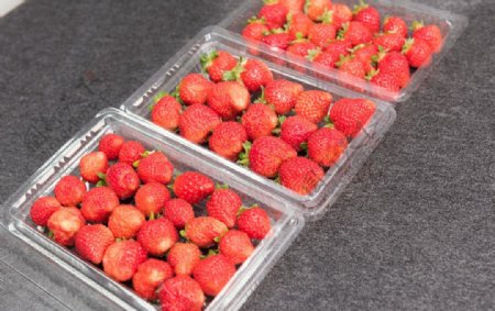 成盒的草莓