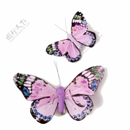 粉色调的蝴蝶免抠png透明素材