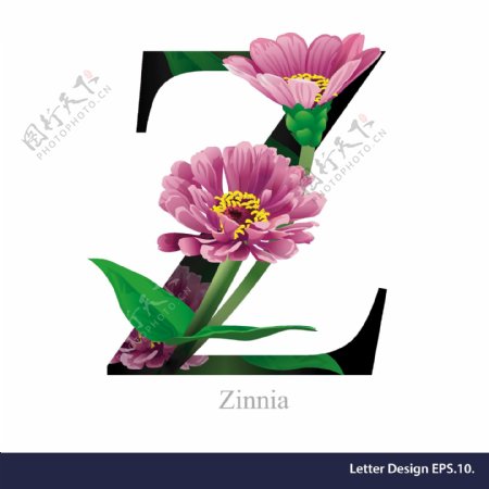 花卉英文字母z字体设计