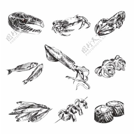 黑白手绘海鲜食材插画