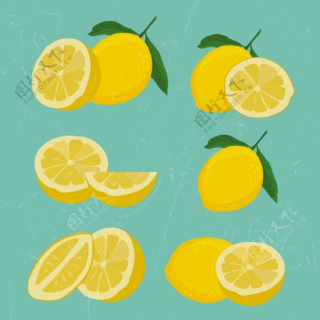 柠檬水果矢量素材