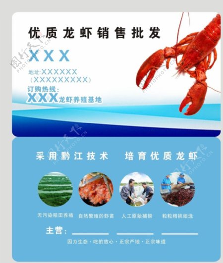 小龙虾养殖销售批发名片设计