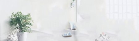 清新植物花瓶banner背景素材
