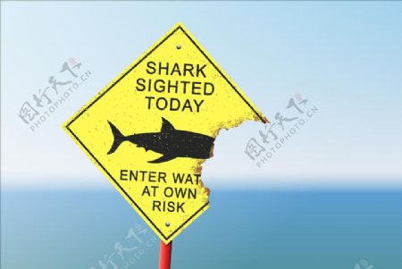 鲨鱼出没警示牌矢量图下载