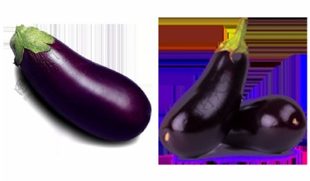 漂亮紫色茄子免抠png透明图层素材