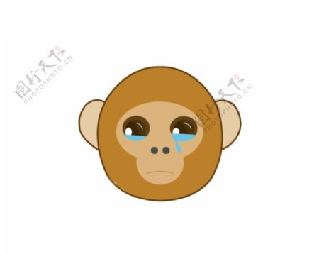 哭泣猴子