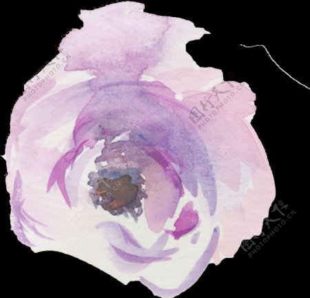 手绘一朵紫色花卉png透明素材
