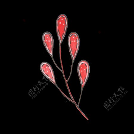 红色椭圆形植物png透明素材