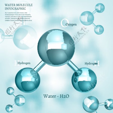 水分子